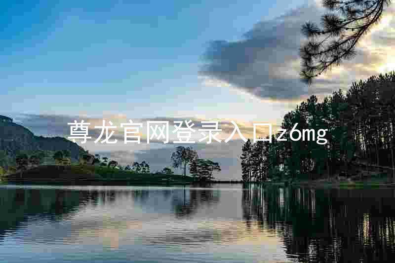尊龙官网登录入口z6mg