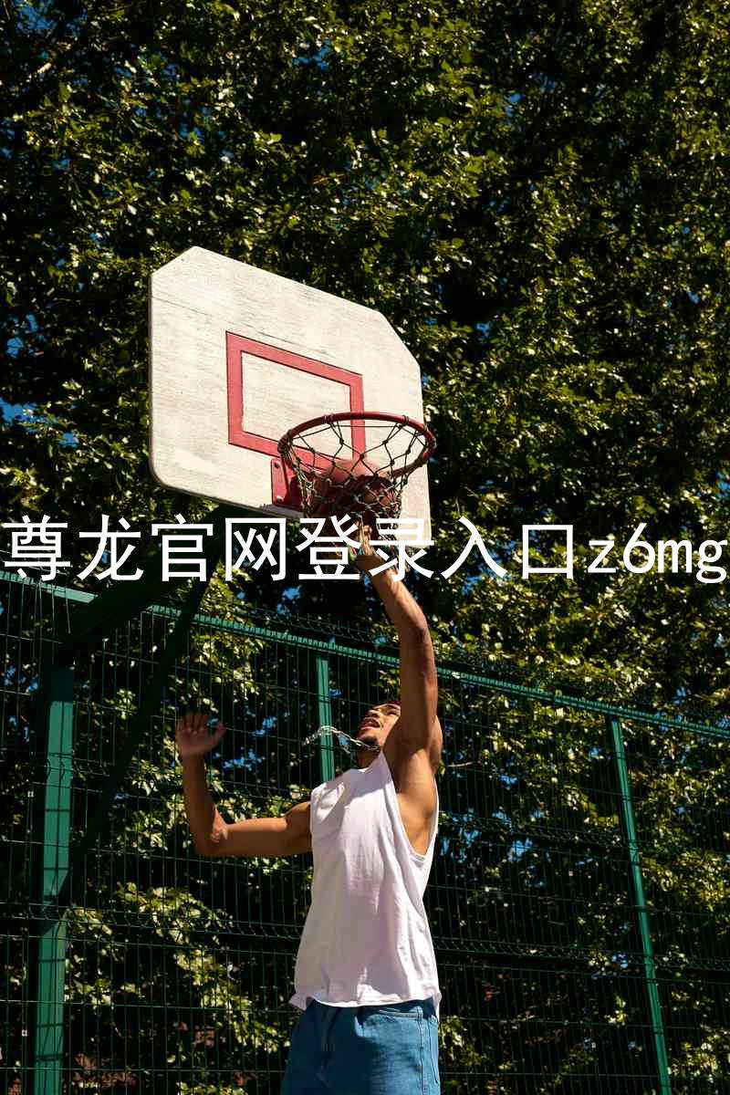 尊龙官网登录入口z6mg