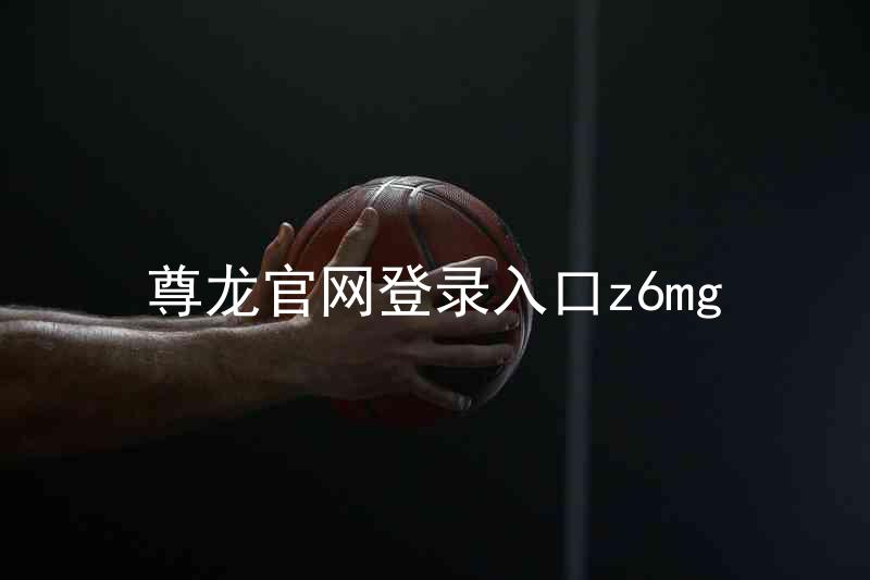 尊龙官网登录入口z6mg